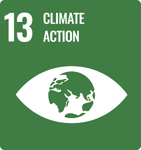 UN Climate Action Goal 13 icon